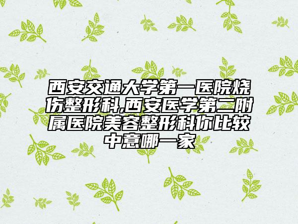 西安交通大學(xué)第一醫(yī)院燒傷整形科,西安醫(yī)學(xué)第二附屬醫(yī)院美容整形科你比較中意哪一家