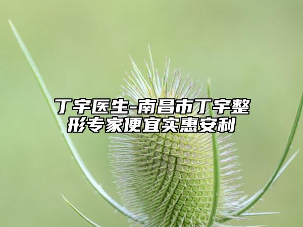丁宇醫(yī)生-南昌市丁宇整形專家便宜實(shí)惠安利
