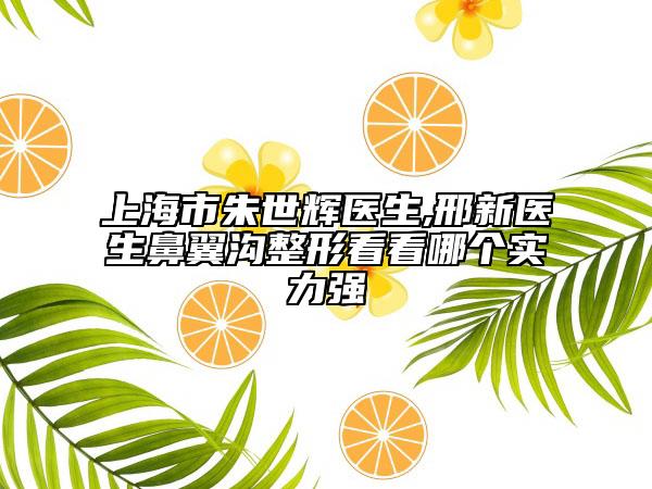 上海市朱世輝醫(yī)生,邢新醫(yī)生鼻翼溝整形看看哪個實力強