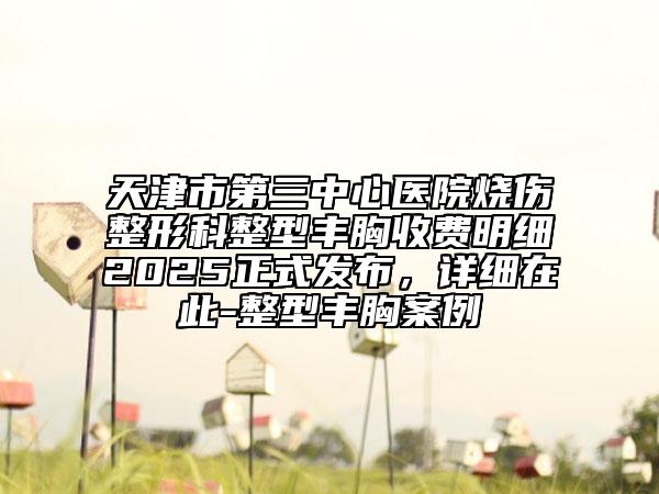 天津市第三中心醫(yī)院燒傷整形科整型豐胸收費(fèi)明細(xì)2025正式發(fā)布，詳細(xì)在此-整型豐胸案例