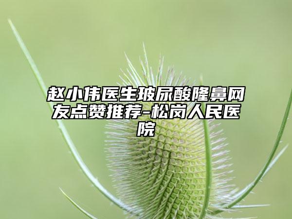 趙小偉醫(yī)生玻尿酸隆鼻網(wǎng)友點(diǎn)贊推薦-松崗人民醫(yī)院