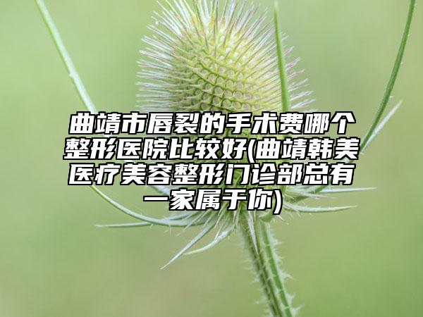 曲靖市唇裂的手術(shù)費(fèi)哪個(gè)整形醫(yī)院比較好(曲靖韓美醫(yī)療美容整形門(mén)診部總有一家屬于你)