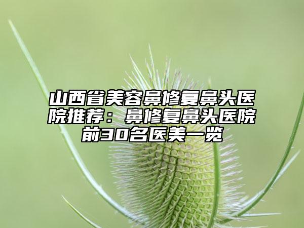 山西省美容鼻修復(fù)鼻頭醫(yī)院推薦：鼻修復(fù)鼻頭醫(yī)院前30名醫(yī)美一覽