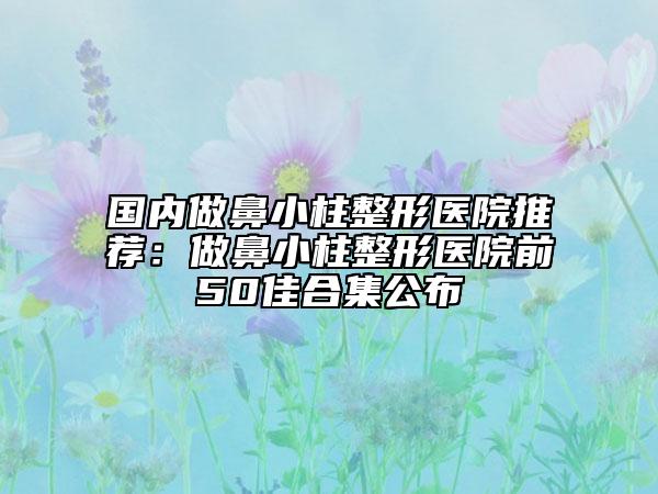 國內(nèi)做鼻小柱整形醫(yī)院推薦：做鼻小柱整形醫(yī)院前50佳合集公布