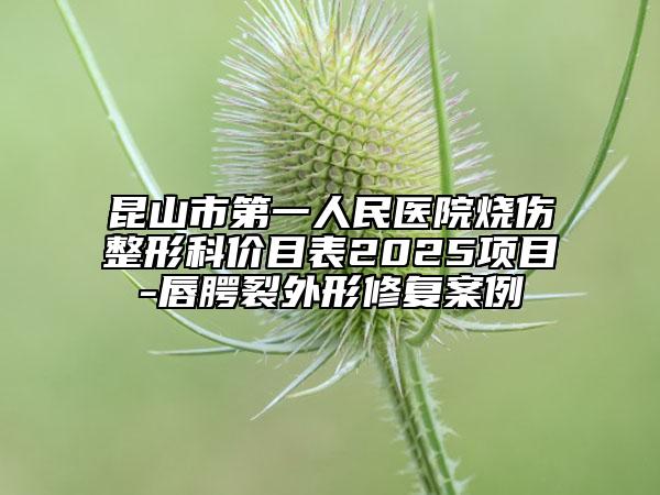 昆山市第一人民醫(yī)院燒傷整形科價目表2025項目-唇腭裂外形修復案例