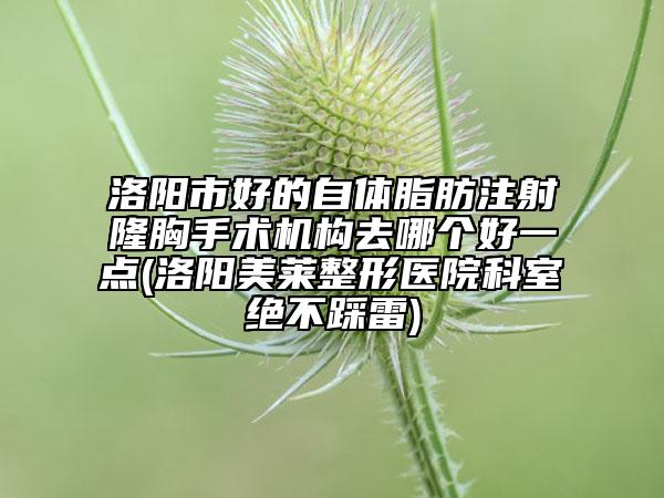 洛陽市好的自體脂肪注射隆胸手術(shù)機構(gòu)去哪個好一點(洛陽美萊整形醫(yī)院科室絕不踩雷)