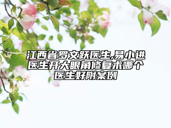 江西省羅文躍醫(yī)生,易小進醫(yī)生開大眼角修復術(shù)哪個醫(yī)生好附案例