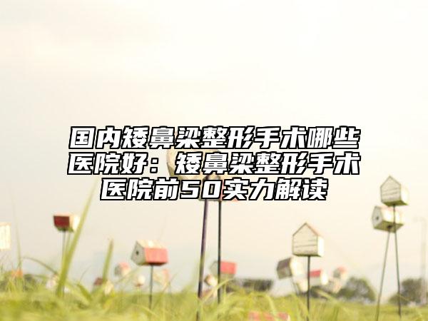 國內(nèi)矮鼻梁整形手術(shù)哪些醫(yī)院好：矮鼻梁整形手術(shù)醫(yī)院前50實力解讀