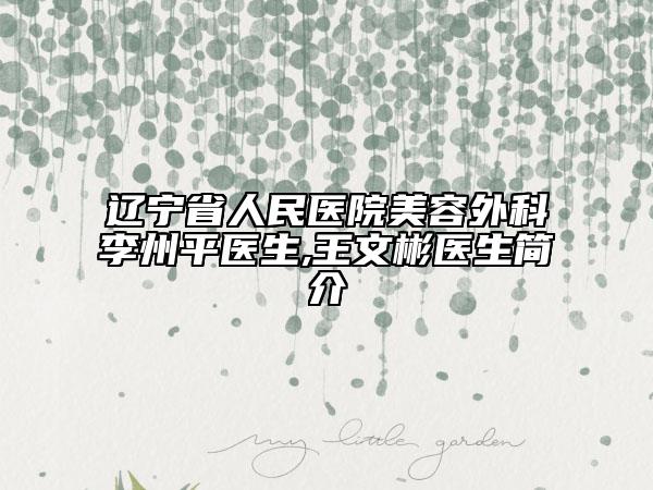 遼寧省人民醫(yī)院美容外科李州平醫(yī)生,王文彬醫(yī)生簡介