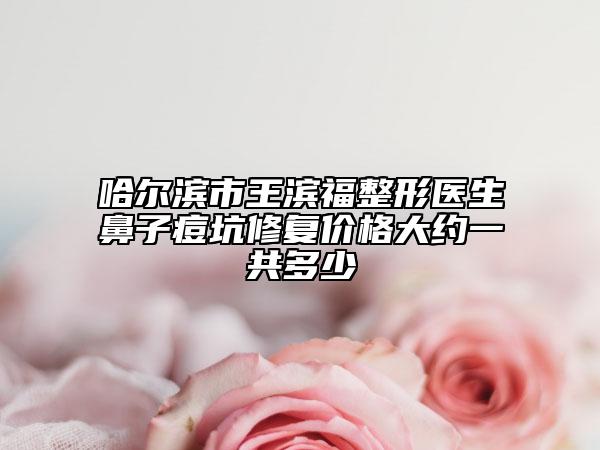 哈爾濱市王濱福整形醫(yī)生鼻子痘坑修復(fù)價格大約一共多少