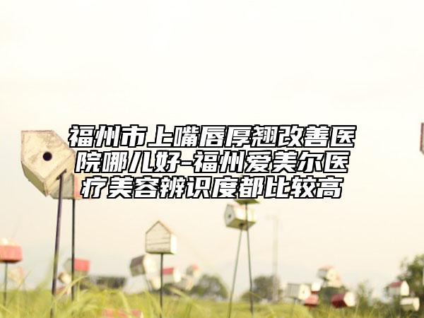 福州市上嘴唇厚翹改善醫(yī)院哪兒好-福州愛美爾醫(yī)療美容辨識度都比較高