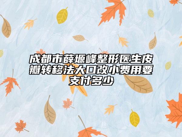 成都市薛塬峰整形醫(yī)生皮瓣轉(zhuǎn)移法大口改小費(fèi)用要支付多少