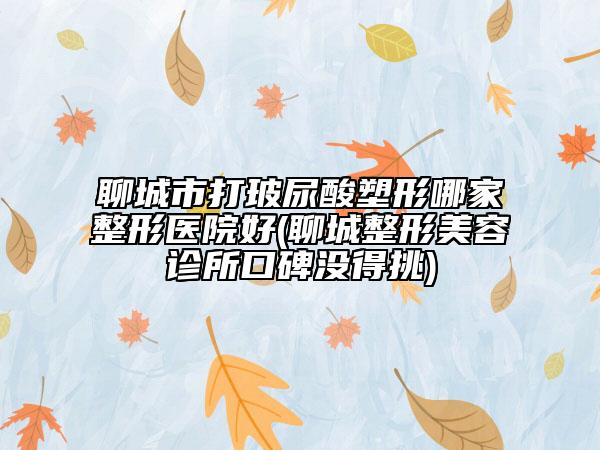 聊城市打玻尿酸塑形哪家整形醫(yī)院好(聊城整形美容診所口碑沒(méi)得挑)