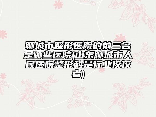 聊城市整形醫(yī)院的前三名是哪些醫(yī)院(山東聊城市人民醫(yī)院整形科是行業(yè)佼佼者)