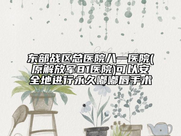 東部戰(zhàn)區(qū)總醫(yī)院八一醫(yī)院(原解放軍81醫(yī)院)可以安全地進(jìn)行永久嘟嘟唇手術(shù)
