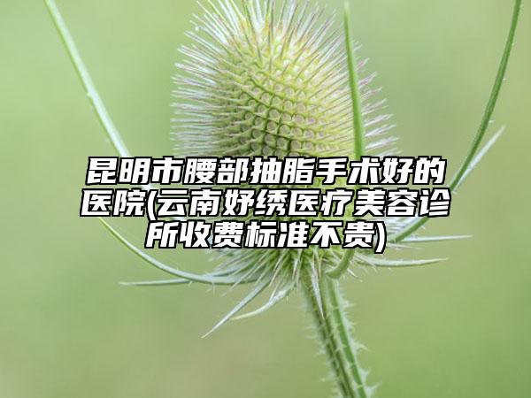 昆明市腰部抽脂手術好的醫(yī)院(云南妤繡醫(yī)療美容診所收費標準不貴)