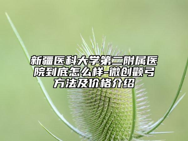 新疆醫(yī)科大學(xué)第二附屬醫(yī)院到底怎么樣-微創(chuàng)顴弓方法及價格介紹