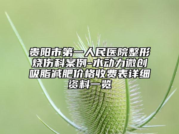 貴陽(yáng)市第一人民醫(yī)院整形燒傷科案例-水動(dòng)力微創(chuàng)吸脂減肥價(jià)格收費(fèi)表詳細(xì)資料一覽