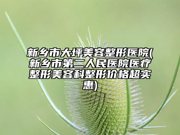 新鄉(xiāng)市大坪美容整形醫(yī)院(新鄉(xiāng)市第二人民醫(yī)院醫(yī)療整形美容科整形價(jià)格超實(shí)惠)