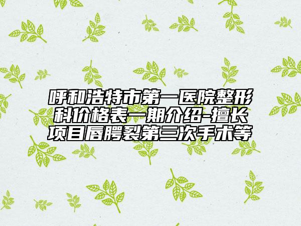 呼和浩特市第一醫(yī)院整形科價(jià)格表一期介紹-擅長項(xiàng)目唇腭裂第三次手術(shù)等