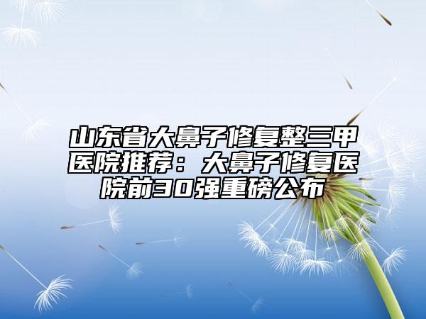 山東省大鼻子修復(fù)整三甲醫(yī)院推薦：大鼻子修復(fù)醫(yī)院前30強重磅公布
