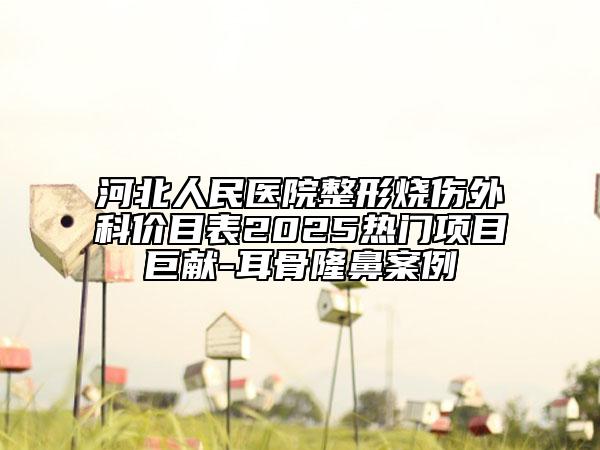 河北人民醫(yī)院整形燒傷外科價(jià)目表2025熱門項(xiàng)目巨獻(xiàn)-耳骨隆鼻案例