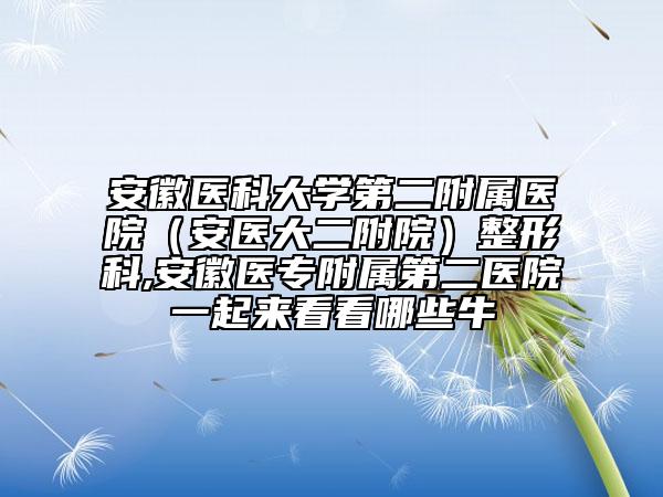 安徽醫(yī)科大學第二附屬醫(yī)院（安醫(yī)大二附院）整形科,安徽醫(yī)專附屬第二醫(yī)院一起來看看哪些牛