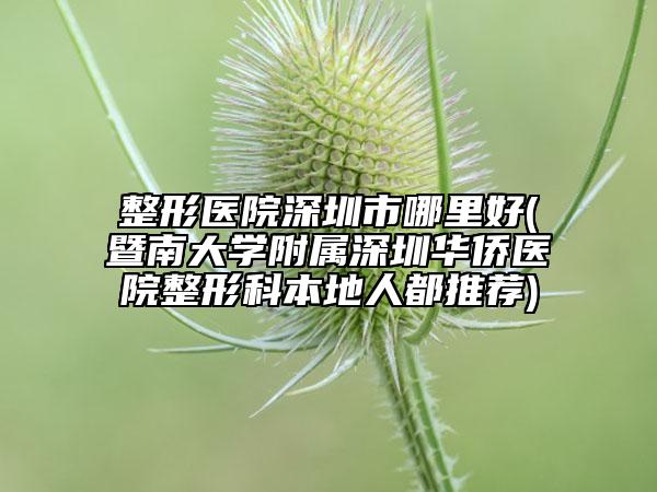 整形醫(yī)院深圳市哪里好(暨南大學附屬深圳華僑醫(yī)院整形科本地人都推薦)
