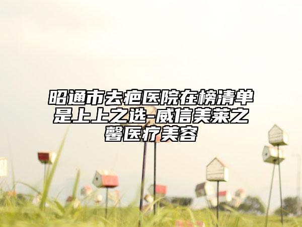 昭通市去疤醫(yī)院在榜清單是上上之選-威信美萊之馨醫(yī)療美容