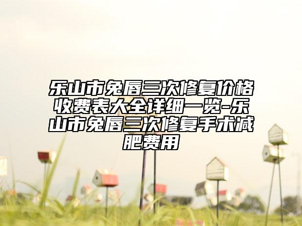 樂山市兔唇三次修復(fù)價格收費表大全詳細一覽-樂山市兔唇三次修復(fù)手術(shù)減肥費用