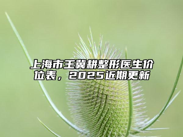 上海市王冀耕整形醫(yī)生價(jià)位表，2025近期更新