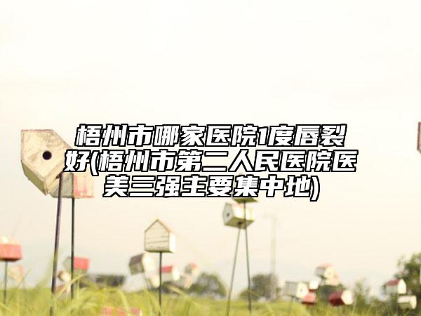 梧州市哪家醫(yī)院1度唇裂好(梧州市第二人民醫(yī)院醫(yī)美三強(qiáng)主要集中地)