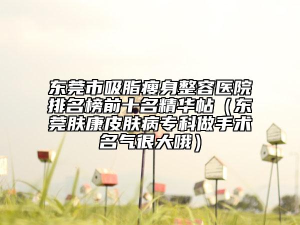 東莞市吸脂瘦身整容醫(yī)院排名榜前十名精華帖（東莞膚康皮膚病?？谱鍪中g(shù)名氣很大哦）