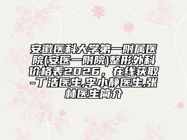 安徽醫(yī)科大學(xué)第一附屬醫(yī)院(安醫(yī)一附院)整形外科價(jià)格表2026，在線獲取-丁浩醫(yī)生,李小靜醫(yī)生,張林醫(yī)生簡介