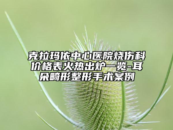 克拉瑪依中心醫(yī)院燒傷科價(jià)格表火熱出爐一覽-耳朵畸形整形手術(shù)案例