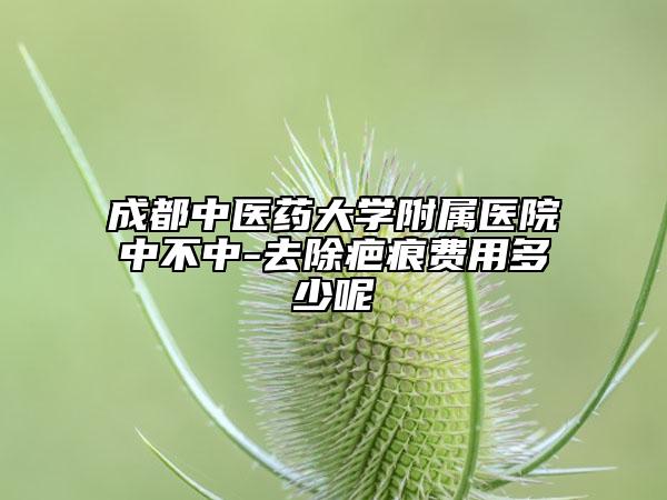 成都中醫(yī)藥大學(xué)附屬醫(yī)院中不中-去除疤痕費(fèi)用多少呢