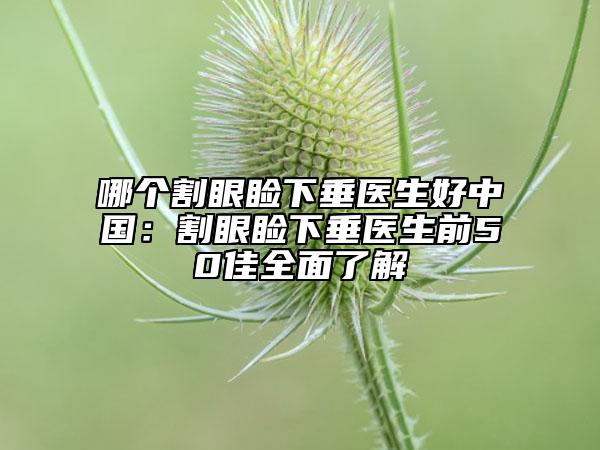 哪個割眼瞼下垂醫(yī)生好中國：割眼瞼下垂醫(yī)生前50佳全面了解