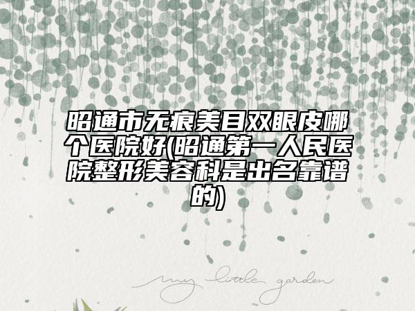 昭通市無痕美目雙眼皮哪個醫(yī)院好(昭通第一人民醫(yī)院整形美容科是出名靠譜的)