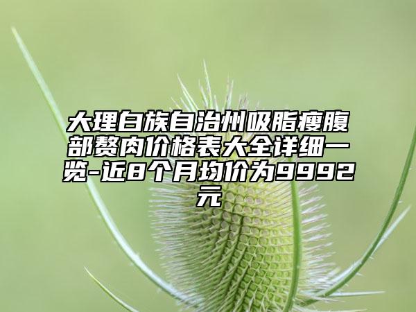 大理白族自治州吸脂瘦腹部贅肉價(jià)格表大全詳細(xì)一覽-近8個(gè)月均價(jià)為9992元