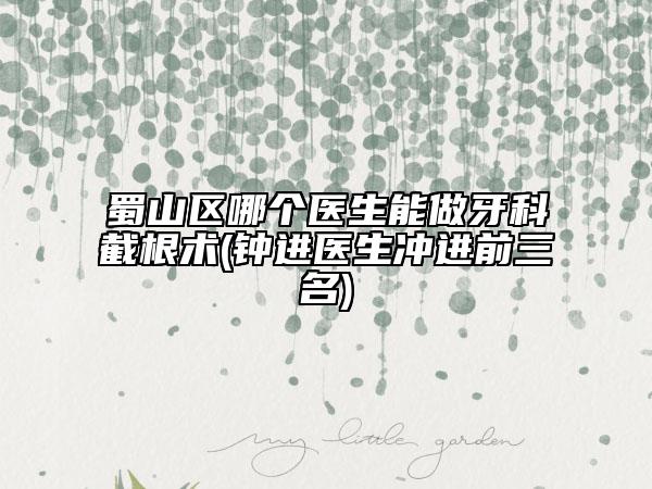 蜀山區(qū)哪個醫(yī)生能做牙科截根術(鐘進醫(yī)生沖進前三名)