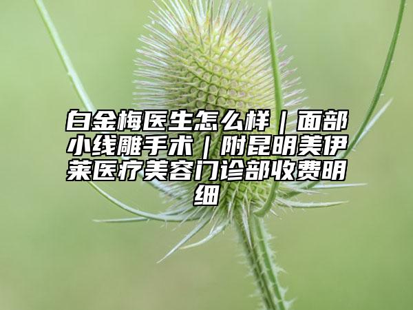 白金梅醫(yī)生怎么樣|面部小線雕手術(shù)|附昆明美伊萊醫(yī)療美容門診部收費明細