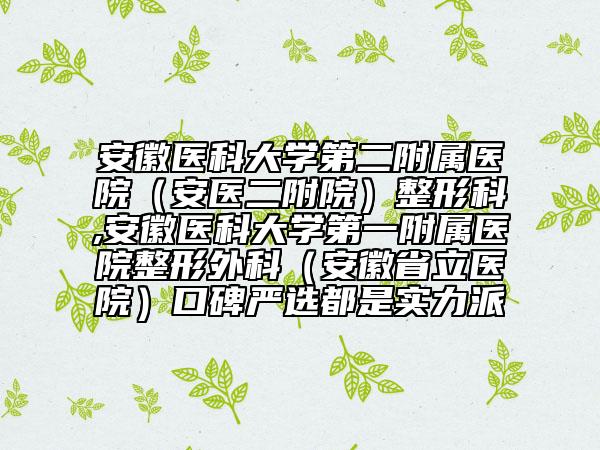 安徽醫(yī)科大學第二附屬醫(yī)院（安醫(yī)二附院）整形科,安徽醫(yī)科大學第一附屬醫(yī)院整形外科（安徽省立醫(yī)院）口碑嚴選都是實力派