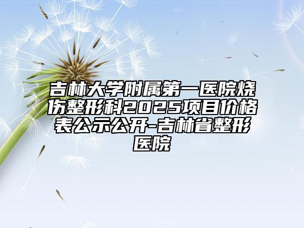 吉林大學附屬第一醫(yī)院燒傷整形科2025項目價格表公示公開-吉林省整形醫(yī)院