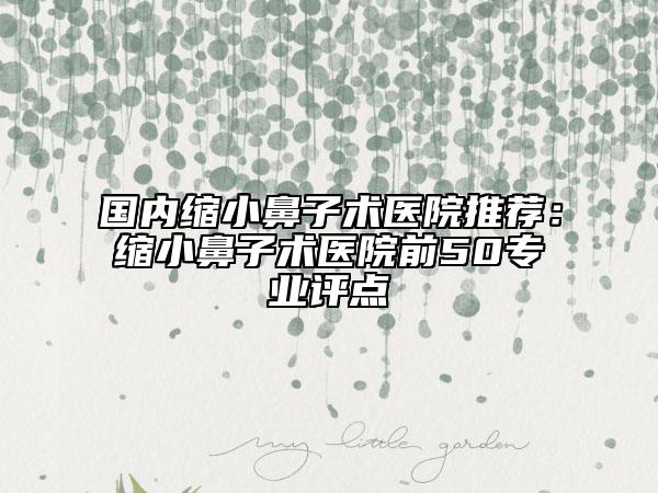 國(guó)內(nèi)縮小鼻子術(shù)醫(yī)院推薦：縮小鼻子術(shù)醫(yī)院前50專業(yè)評(píng)點(diǎn)