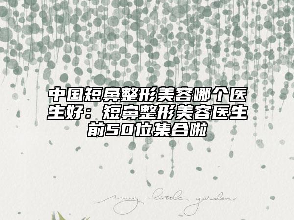 中國(guó)短鼻整形美容哪個(gè)醫(yī)生好：短鼻整形美容醫(yī)生前50位集合啦