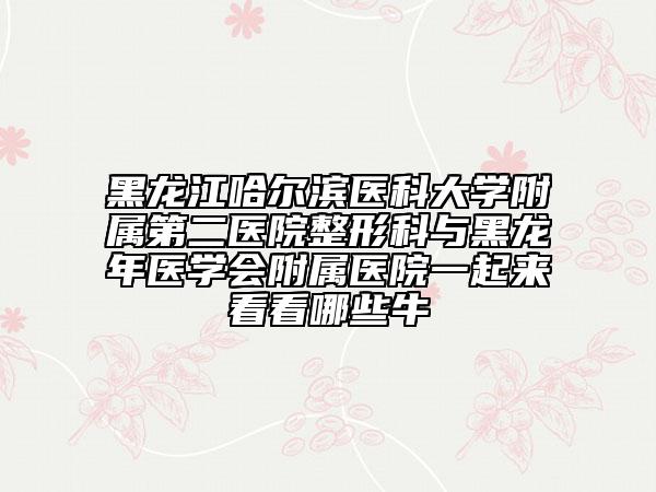 黑龍江哈爾濱醫(yī)科大學(xué)附屬第二醫(yī)院整形科與黑龍年醫(yī)學(xué)會(huì)附屬醫(yī)院一起來(lái)看看哪些牛