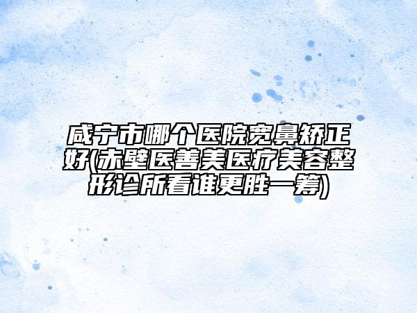 咸寧市哪個醫(yī)院寬鼻矯正好(赤壁醫(yī)善美醫(yī)療美容整形診所看誰更勝一籌)