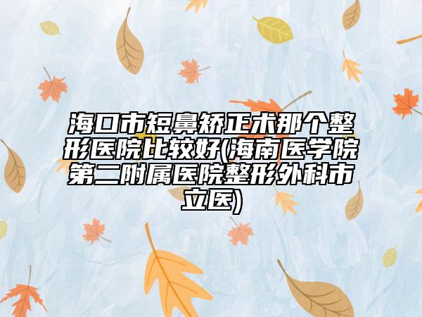海口市短鼻矯正術(shù)那個整形醫(yī)院比較好(海南醫(yī)學(xué)院第二附屬醫(yī)院整形外科市立醫(yī))