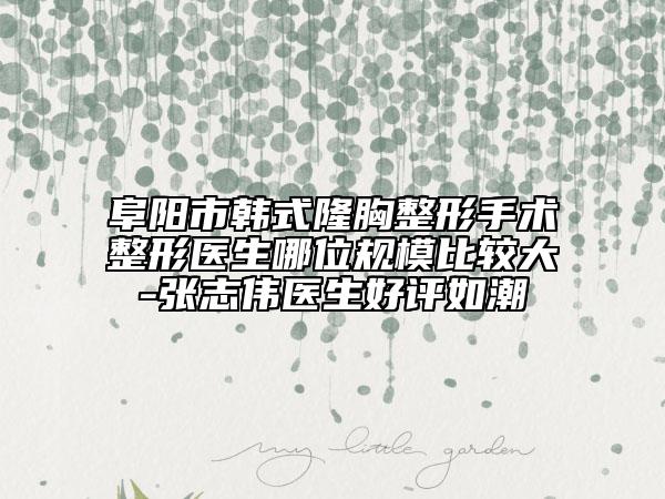 阜陽市韓式隆胸整形手術(shù)整形醫(yī)生哪位規(guī)模比較大-張志偉醫(yī)生好評如潮