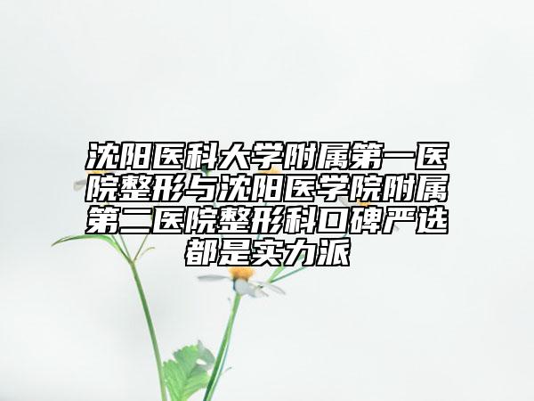 沈陽(yáng)醫(yī)科大學(xué)附屬第一醫(yī)院整形與沈陽(yáng)醫(yī)學(xué)院附屬第二醫(yī)院整形科口碑嚴(yán)選都是實(shí)力派